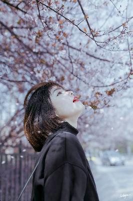 免费在线观看MV的视频网站有哪些？这3个你不能错过！
